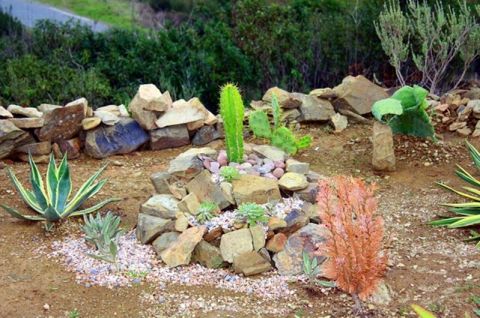 xeriscape2.jpg